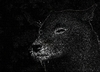 Avatar for barbital