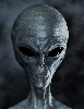 Avatar for lovessuperstrats